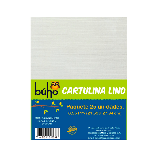 PAPEL LINO TELA BLANCO 250 GRS 70X100 (PAQ 50)