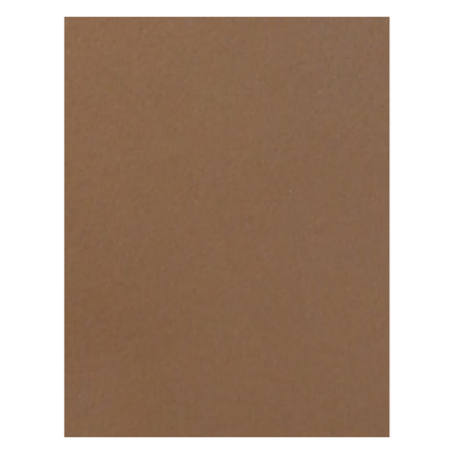 FOAM LISO T/CARTA CAFE CLARO 10H