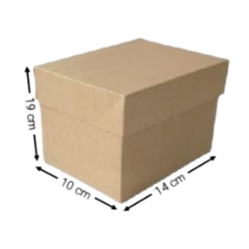 CAJA KRAFT RECTANGULAR #2080 19X14X10CM (PAQ 12)