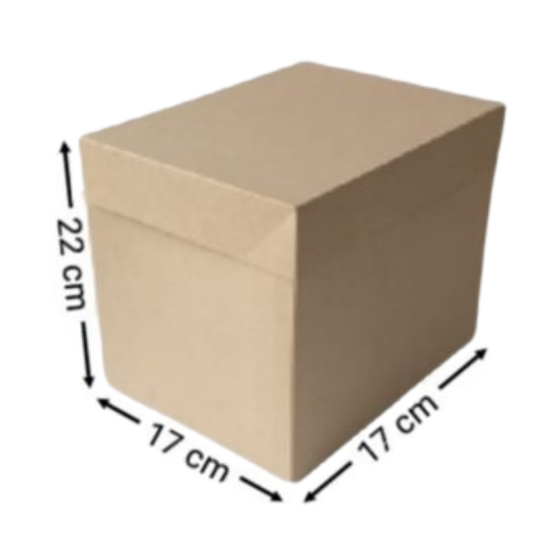 CAJA KRAFT RECTANGULAR #2083 22X17X17CM (PAQ 12)