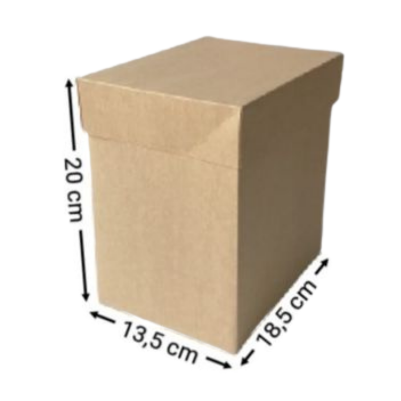 CAJA KRAFT RECTANGULAR #2085 20X18,5X13,5CM (PAQ 12)