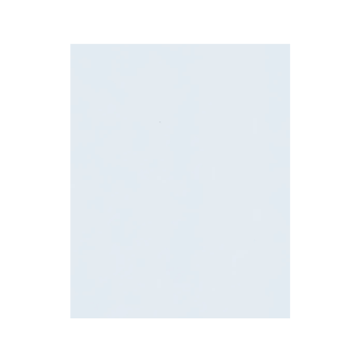 FOAM LISO PLIEGO 50X70CM BLANCO 10H