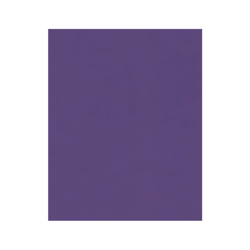 FOAM LISO PLIEGO 50X70CM MORADO 10H
