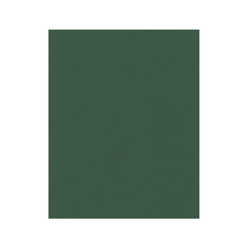 [OFF-57VO] FOAM LISO PLIEGO 50X70CM VERDE OSCURO 10H