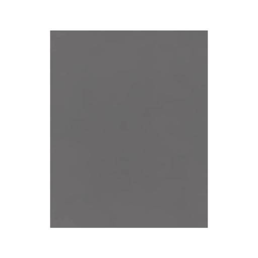 FOAM LISO T/CARTA GRIS 10H