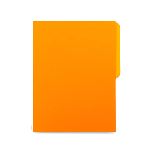 FOLDER MANILA FLASHFILE NARANJA IRASA T/C (CJ100)