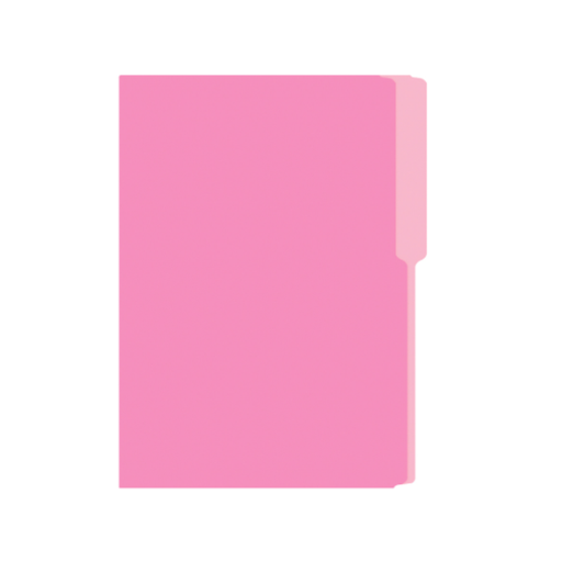 FOLDER MANILA FLASHFILE ROSA IRASA T/C (CJ100)