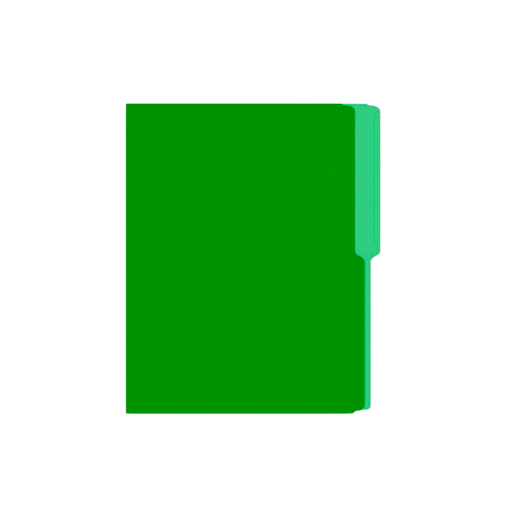 FOLDER MANILA FLASHFILE VERDE IRASA T/C (CJ100)