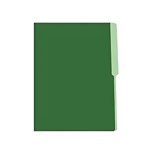 FOLDER MANILA FLASHFILE VERDE PINO IRASA T/C (CJ100)