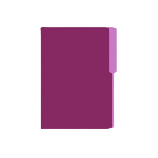 FOLDER MANILA FLASHFILE VIOLETA IRASA T/C (CJ100)
